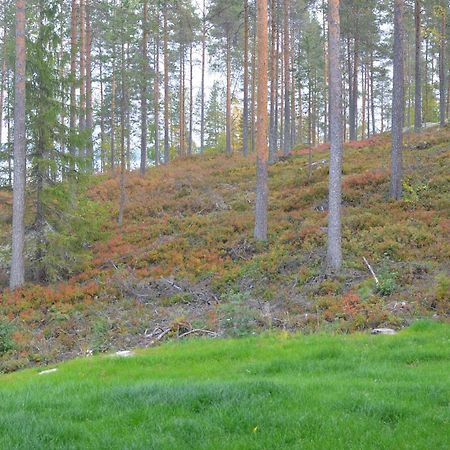 Kainiemen Huvilat Nurmes Rom bilde