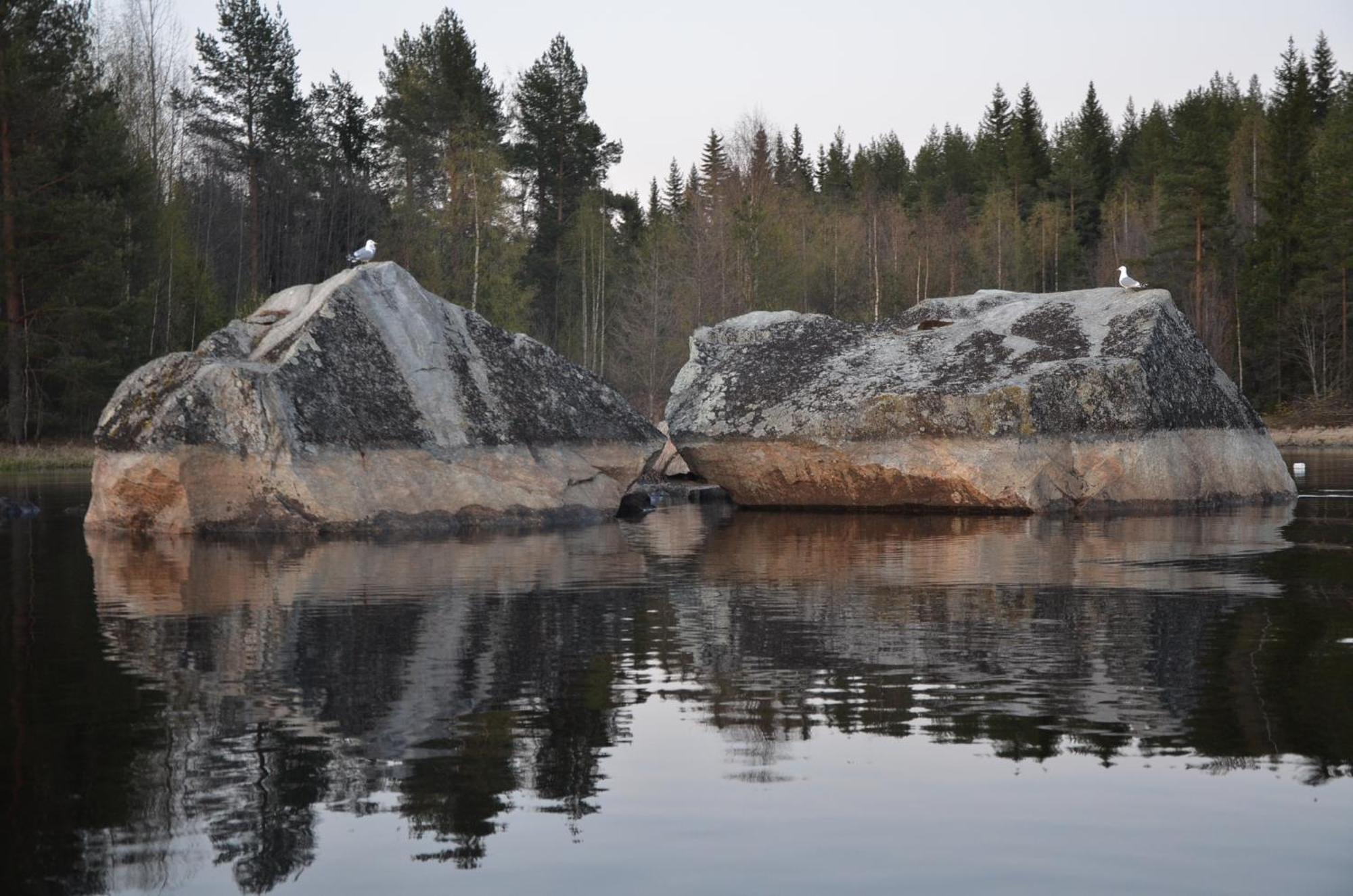 Kainiemen Huvilat Nurmes Rom bilde